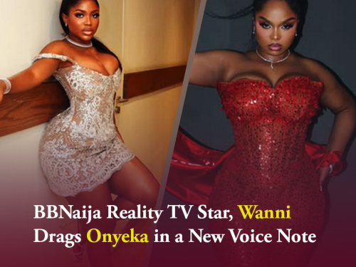 BBNaija Reality TV Star, Wanni Drags Onyeka in a New Voice Note (Video)